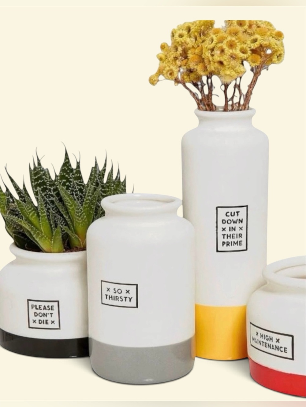 High Maintenance Planters and Vases - Set of 4